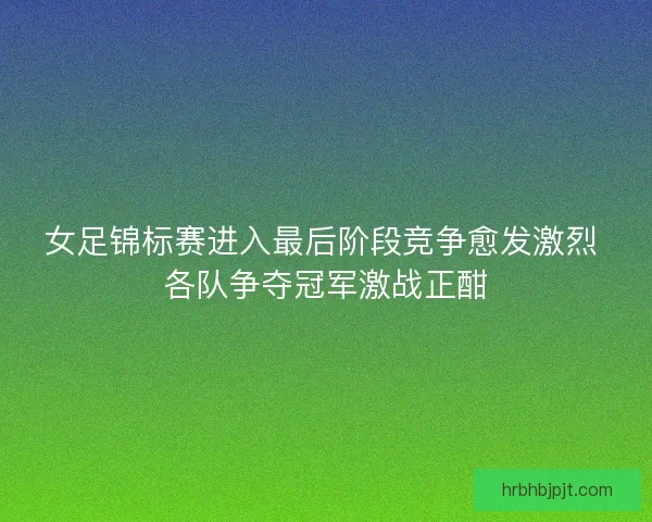 女足锦标赛进入最后阶段竞争愈发激烈 各队争夺冠军激战正酣